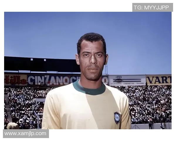 足球界传奇老前辈们的辉煌成就与影响力分析 足球界传奇老前辈们的辉煌成就与影响力分析