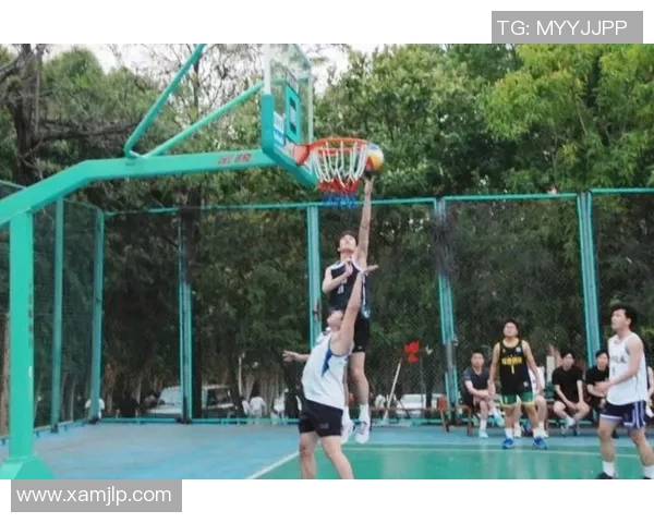 篮球明星与篮球宝贝的璀璨舞台展现青春与激情的完美结合